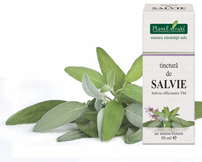 30 Salvia miracolul din grãdinã