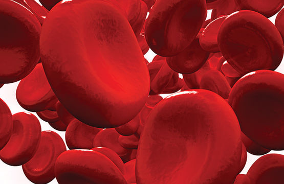 Anemia  la copii si adulti 