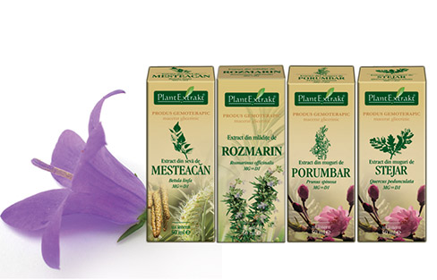 Seva de Mesteacăn Rozmarinul Stejarul Porumbarul