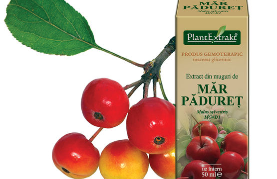 Marul paduret - reechilibrantul starii interioare